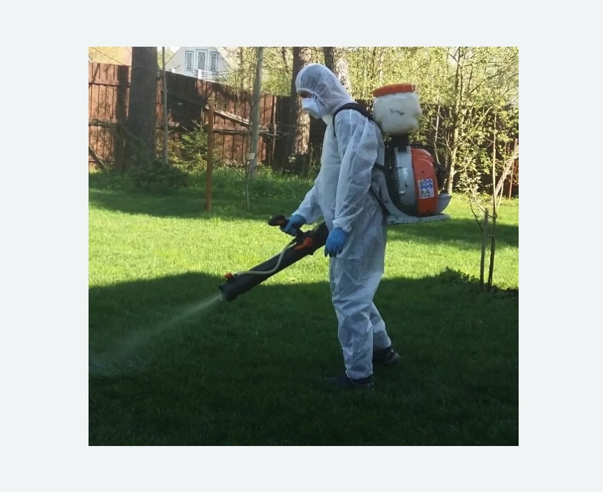 Обработка территории от клещей в Чашниково