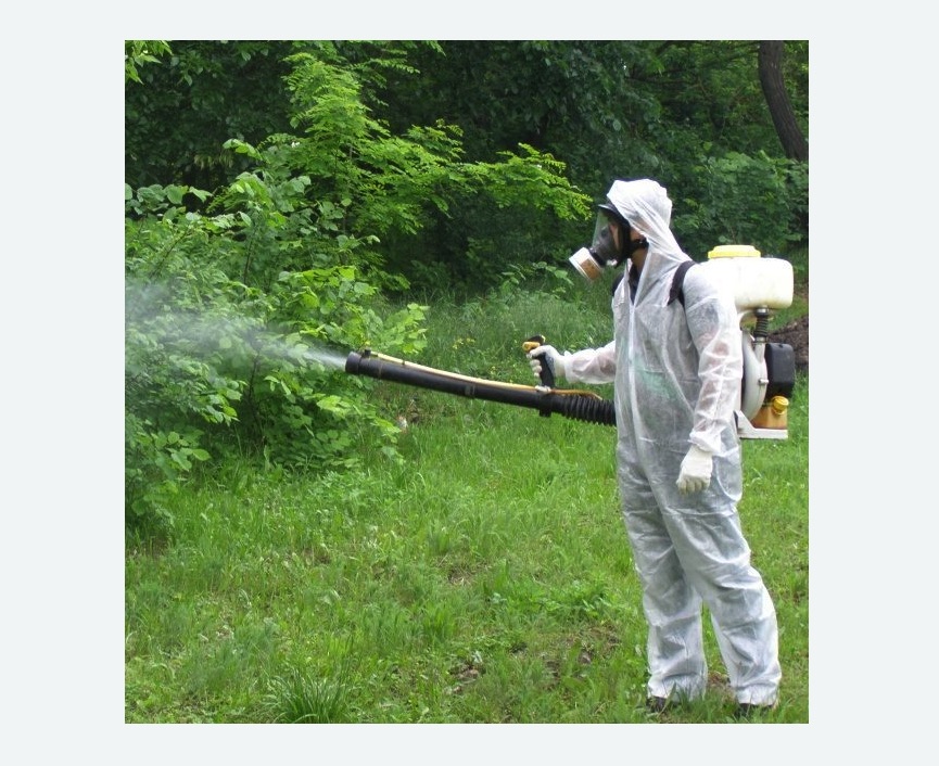 обработка территории от клещей в Чашниково