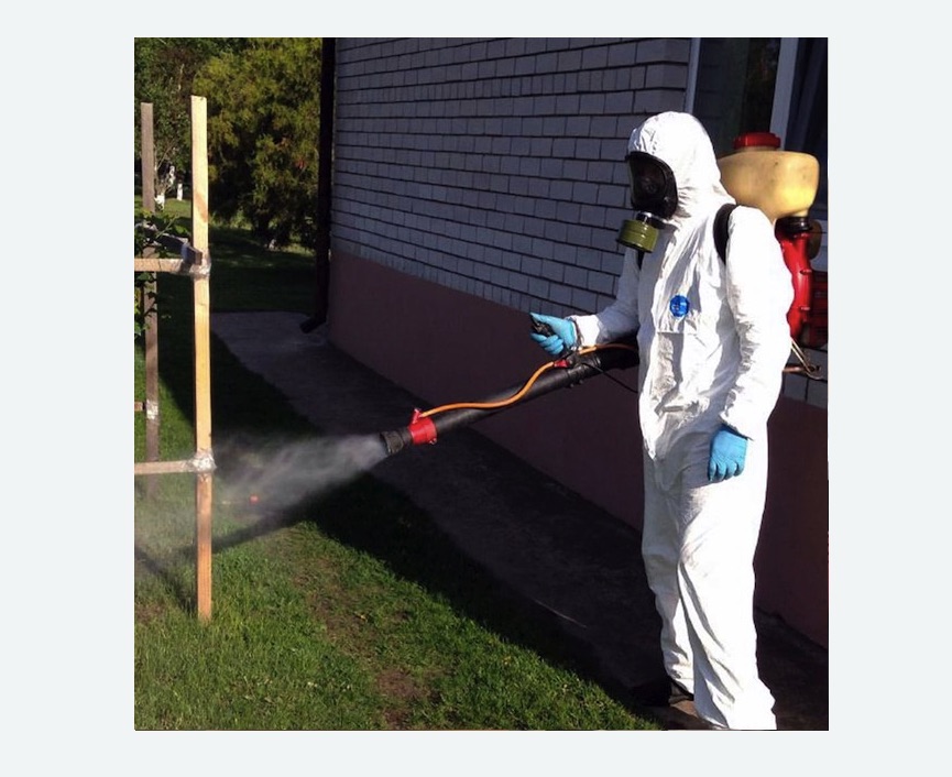 травля клещей на участке в Чашниково