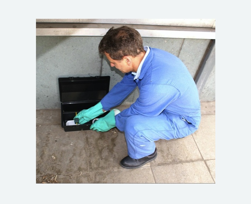 Дератизация помещения в Чашниково Дератизация помещения