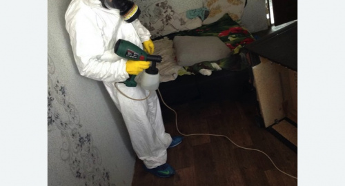 Обработка квартир от насекомых в Чашниково