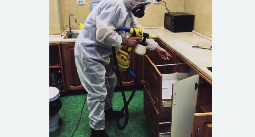 Дезинсекция квартиры. Чашниково