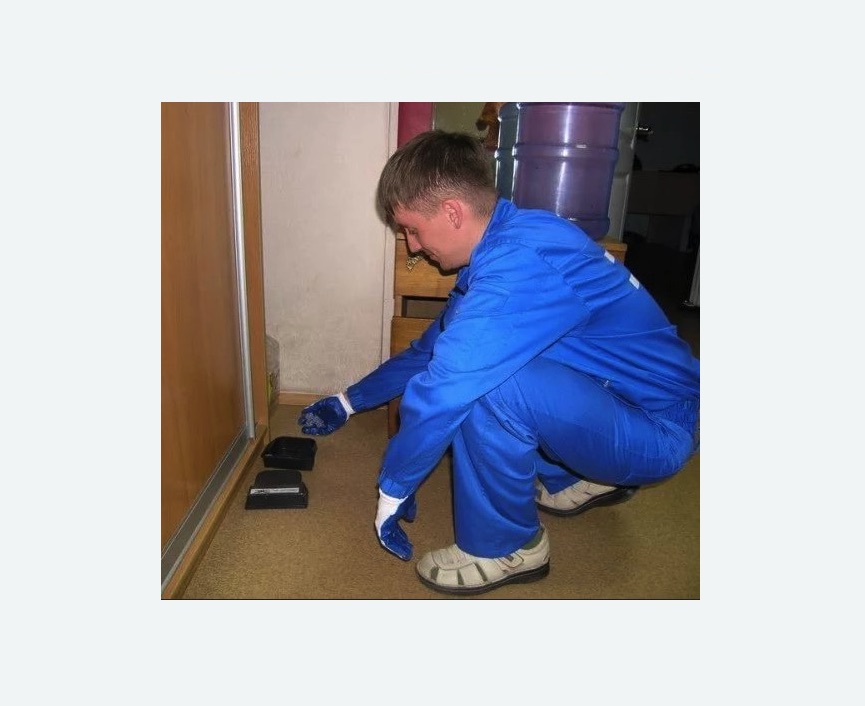 Дератизация крыс в Чашниково