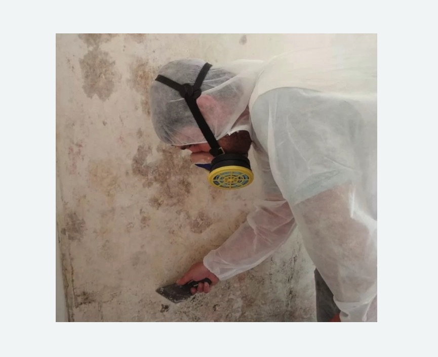 Обработка стен от плесени в Чашниково