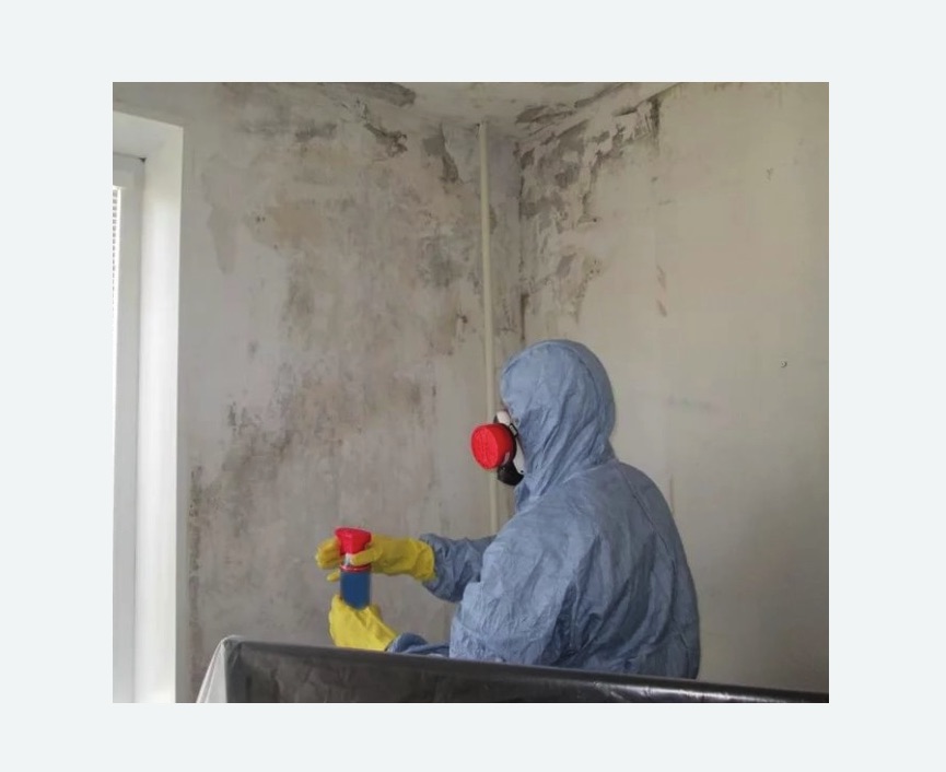 Удаление плесени в квартире в Чашниково