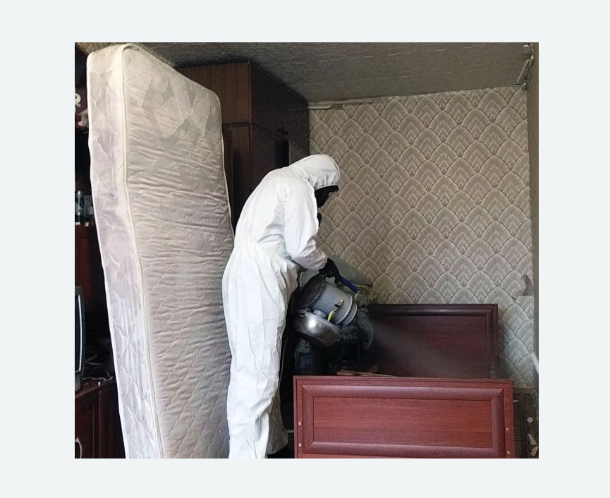 дезинфекция от клопов в Чашниково