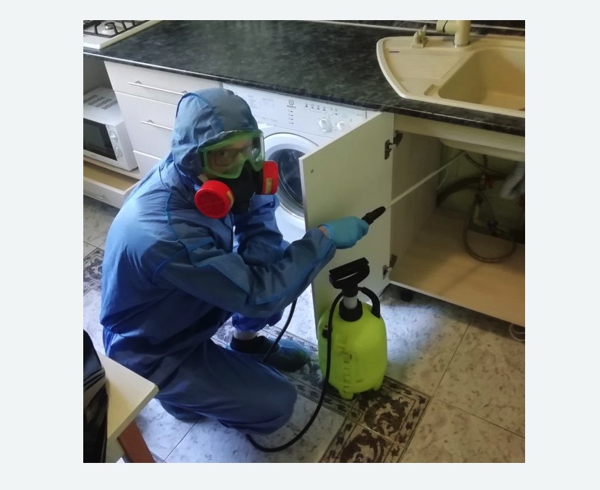 обработка от муравьев в квартире в Чашниково