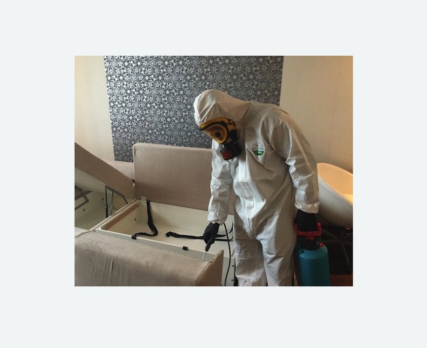 уничтожение клопов в квартире в Чашниково