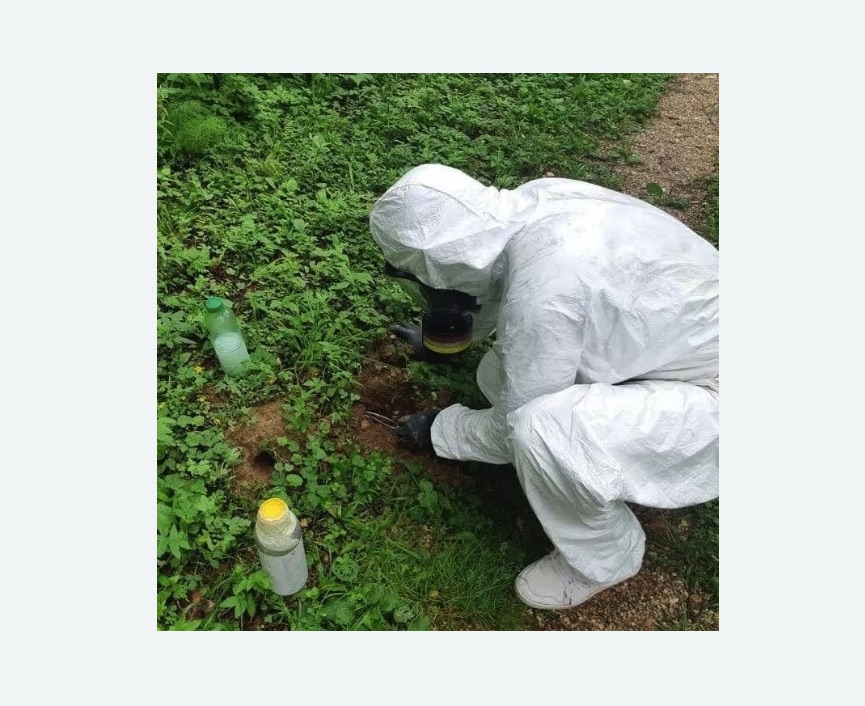 уничтожение кротов на участке в Чашниково