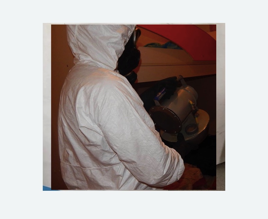 Дезинфекция от муравьев в Чашниково